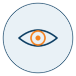 icon-vision